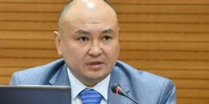 Үкімет 3 баладан көп баласы бар аналарға жалақы төлеуі керек – депутат