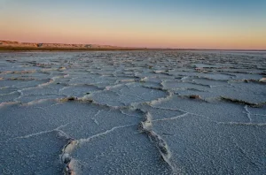 Қызылордалық студенттер Арал теңізіне арналған жаңа жоба бастамақшы