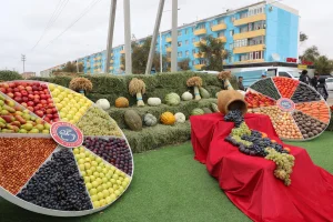 Фото: Жалағаш ауданының әкімдігі