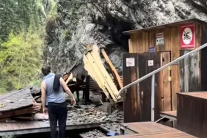 Фото: Видеодан скриншот