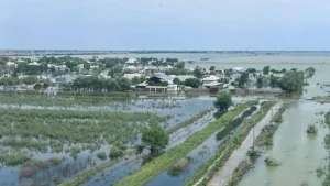 300 миллион теңге жымқырған шенеулік сотталды