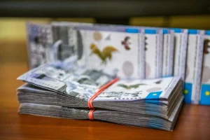 Баласының еміне ақша жинаған ата-ана қымбат мүлік сатып алғаны үшін тергеуге ілікті