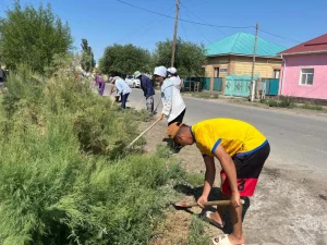 "Таза Қазақстан" экологиялық акциясы аясында сенбілік жұмыстары жүргізілуде