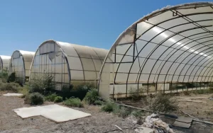 Қызылордада 120 жылыжай қаңырап қалған