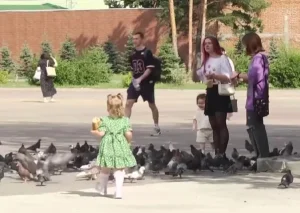 Қоғамдық орында құстарды тамақтандырған қазақстандықтар 100 мың теңгеден аса айыппұл төлейді