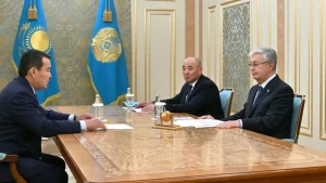 Қасым-Жомарт Тоқаев Әлихан Смайыловқа мемлекеттік аудит жүйесін кезең-кезеңімен дамытуды тапсырды
