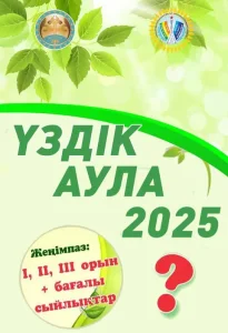 Қызылордада «Үздік аула – 2025» байқауына өтінім қабылдануда