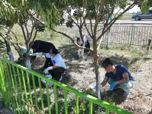 Шиелі ауданында "Таза Қазақстан" акциясы аясында сенбілік өтті