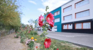 Фото: Жалағаш ауданының әкімдігі