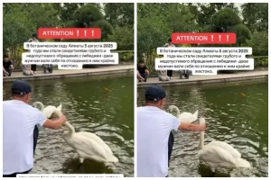 Ботаникалық бақта бір топ адам аққуды мойнынан тартып, қатігездік көрсеткен