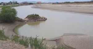 Фото: ашық дереккөзден