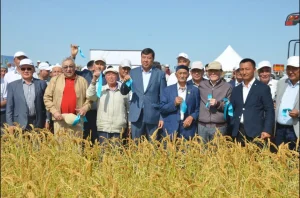 Фото: Шиелі аудан әкімдігі