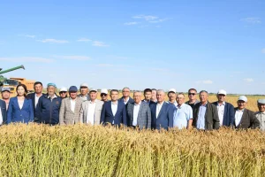 Фото: Қазалы аудан әкімдігі