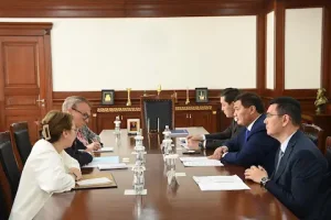 Аймақ басшысы Дүниежүзілік Денсаулық сақтау ұйымының өкілдерімен кездесті