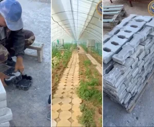 ЕҢБЕК – ТҮЗЕЛУГЕ БАСТАР ЖОЛ