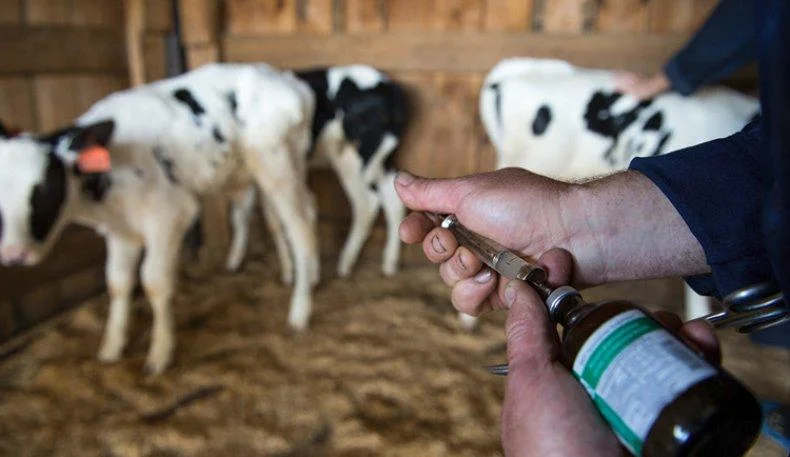 Порно ас үй сериясы Вика