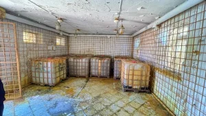 Қызылордада "Дәрмек" іс-шарасы нәтижесінде 23 заңбұзушылық анықталды