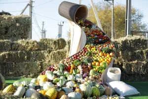 Фото: Жалағаш аудан әкімдігі
