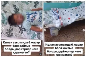 Фото: Видеодан скрин