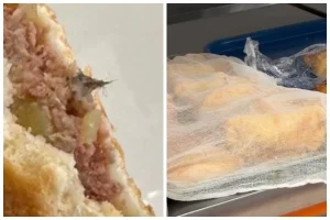 Фото: Видеодан скрин