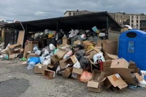 Анасының мәйітін жасырмақ болған күдікті қамауға алынды