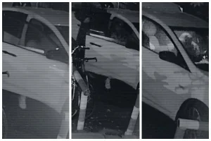 Яна Легкодимованың қатігездікпен өлтірілген сәтінің видеосы жарияланды