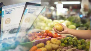 Азық-түлік қымбаттап жатыр: Үкімет бағаны тұрақтандыруға кірісті