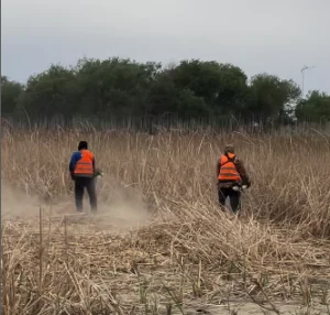 Қызылорда қаласында өртке қауіпті аумақтарды тазарту жұмыстары қарқын алды