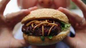 Мектеп оқушыларының тамағынан құрт-құмырсқа табылды