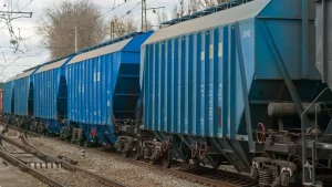 Экспорттық нарықта бидай мен ұн тапшылығы артып келеді