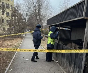 Қоқыс жәшігінен жаңа туған сәбидің денесі табылды