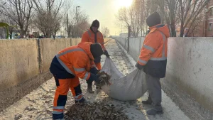 Қызылордада су арналары қарқынды түрде тазалануда