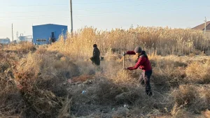 Фото: Қызылорда қаласының әкімдігі