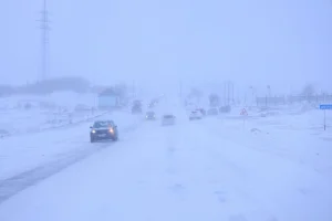 Аязды күні адасып кеткен үш адамның мәйіті табылды