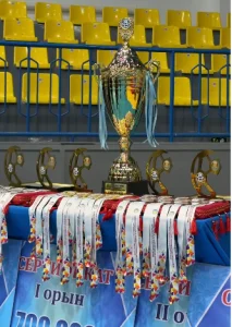 Қала әкімі жүлдесіне арналған қалалық ашық футзал турнирі өз мәресіне жетті