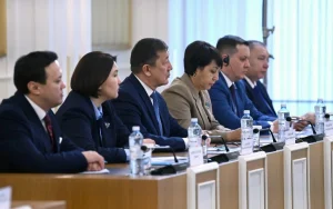 Вице-президентке қандай қызмет жүктеледі