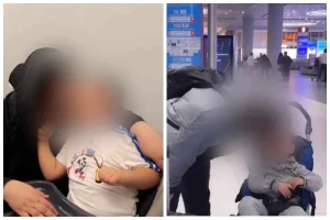 Фото: Видеодан скриншот