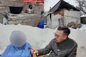 Фото: Видеодан скриншот