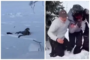 Қар барысы өзімен суретке түскісі келген әйелге шабуыл жасап, бетін жарақаттаған