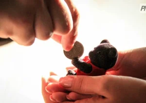 Алимент төлемеген ана сотталды