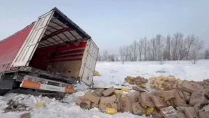 Күнбағыс майын тиеген жүк көлігі аударылды