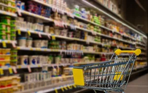 Қызылордада азық-түлік бағасын негізсіз көтерудің 30 дерегі анықталды