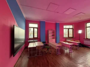 245 ерекше бала білім алып жатқан мектептің жұмысы тоқтауы мүмкін