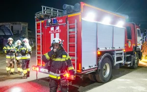 9 жастағы бала тілсіз жаумен бетпе-бет келіп, бауырларын құтқарып қалған