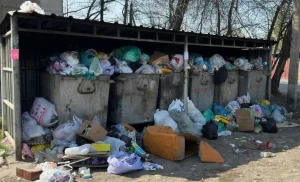 Қоқыс жәшігінен жаңа туған сәбидің денесі табылды