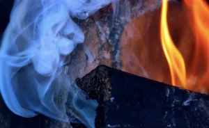 Бір үйден 4 адамның мәйіті табылды