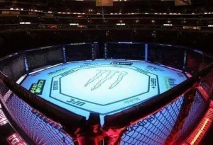 Жас спортшы жекпе-жектен кейін комаға түсті