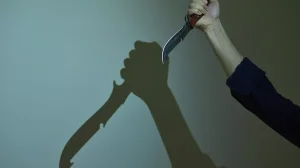 Әйелі мен баласын өлтірген ер адамға сот үкімі шықты