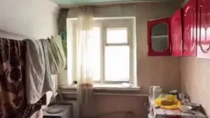 Қолайсыз жағдайда өмір сүріп жатқан төрт баланың құқығы қорғалды.