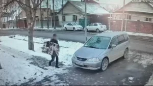 Көшеде теледидар көтеріп жүрген ұрылары ұсталды